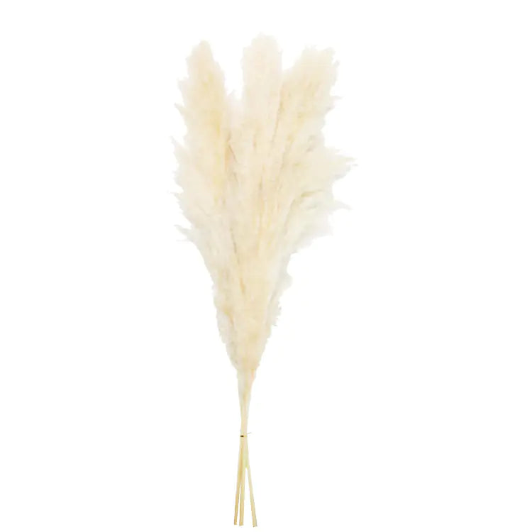 Bulk Dried Reed Flower Bouquet for Nordic Wedding Decor VibelyDrop