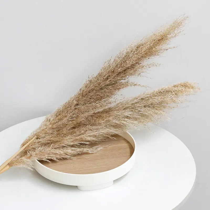 Bulk Dried Reed Flower Bouquet for Nordic Wedding Decor VibelyDrop [male reed] 40-50cm