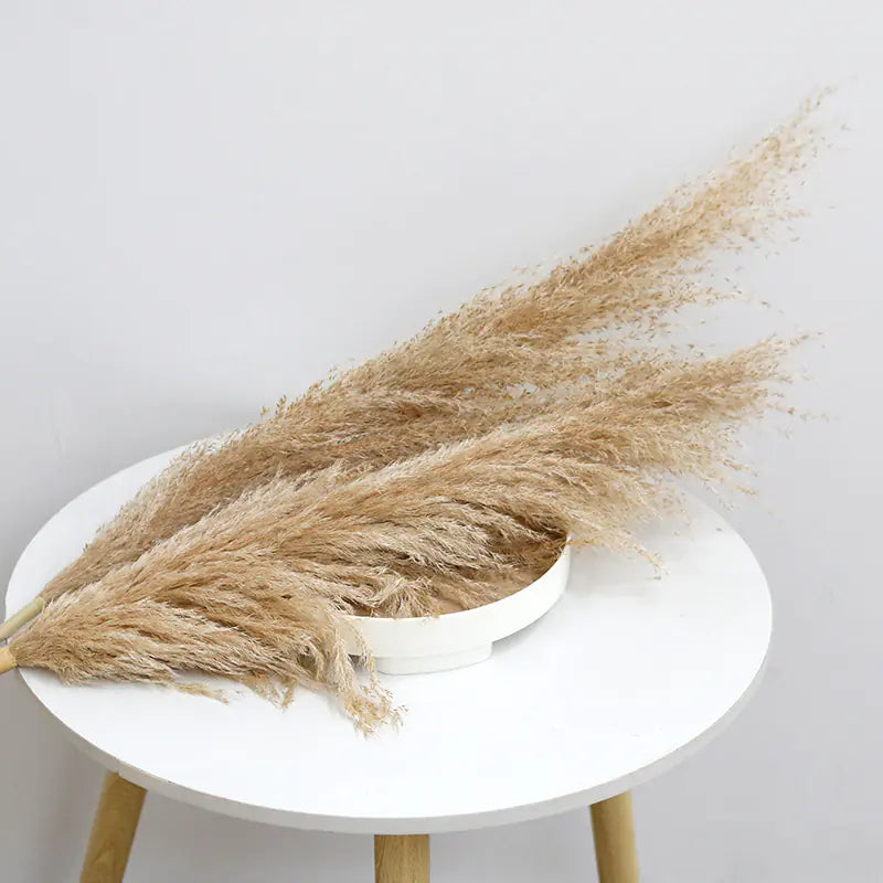 Bulk Dried Reed Flower Bouquet for Nordic Wedding Decor VibelyDrop [male reed] more than 60cm