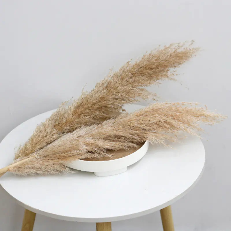 Bulk Dried Reed Flower Bouquet for Nordic Wedding Decor VibelyDrop "Male reed" 50-60cm